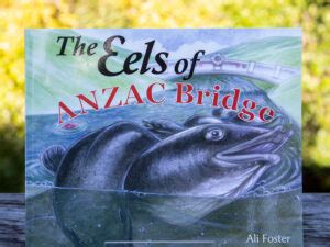 the eels of anzac bridge